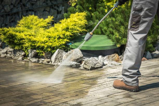 Best Sign and Awning Cleaning  in Wheaton, MN