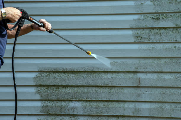 Best Spring Cleaning  in Wheaton, MN